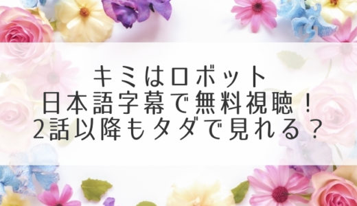 キミはロボット動画を日本語字幕で無料視聴！2話以降もタダでみれるのは？